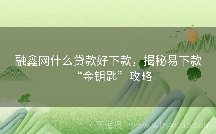 融鑫网什么贷款好下款，揭秘易下款“金钥匙”攻略