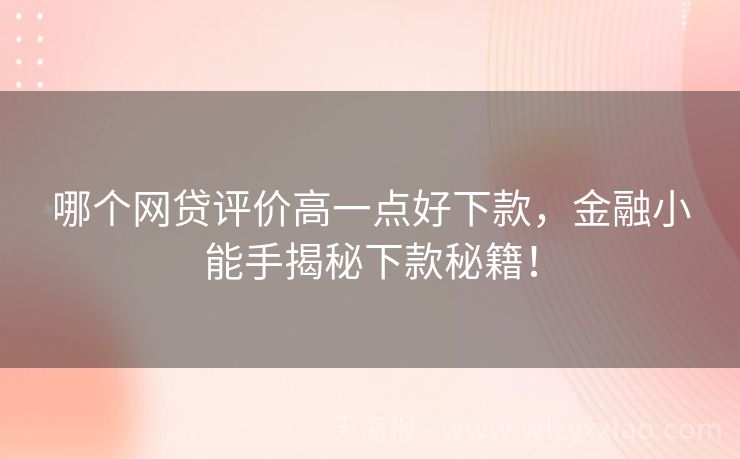 哪个网贷评价高一点好下款，金融小能手揭秘下款秘籍！