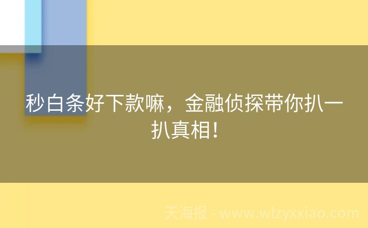 秒白条好下款嘛，金融侦探带你扒一扒真相！