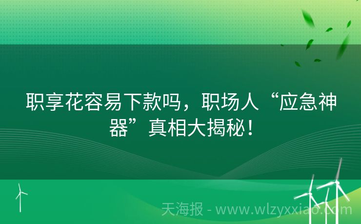 职享花容易下款吗，职场人“应急神器”真相大揭秘！