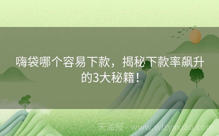 嗨袋哪个容易下款，揭秘下款率飙升的3大秘籍！