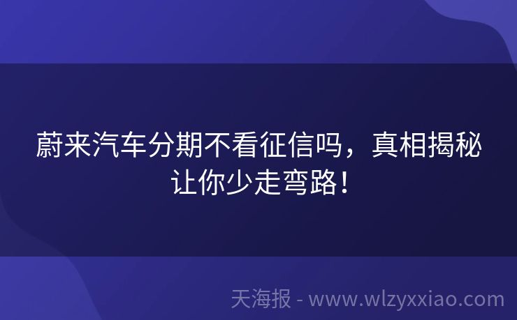 蔚来汽车分期不看征信吗，真相揭秘让你少走弯路！