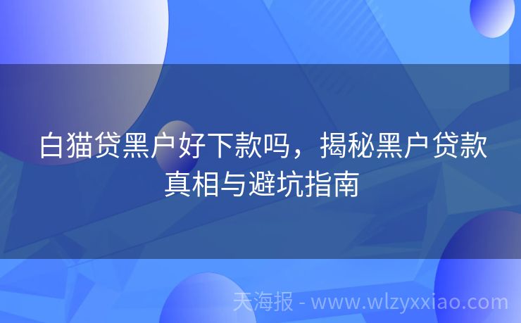 白猫贷黑户好下款吗，揭秘黑户贷款真相与避坑指南