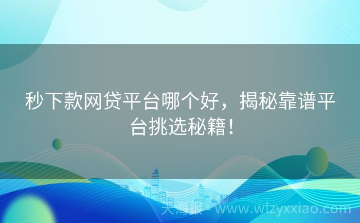 秒下款网贷平台哪个好，揭秘靠谱平台挑选秘籍！