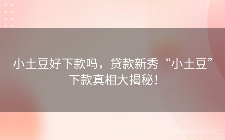 小土豆好下款吗，贷款新秀“小土豆”下款真相大揭秘！