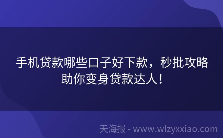 手机贷款哪些口子好下款，秒批攻略助你变身贷款达人！