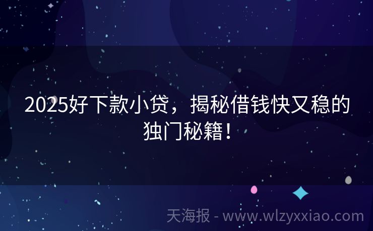 2025好下款小贷，揭秘借钱快又稳的独门秘籍！