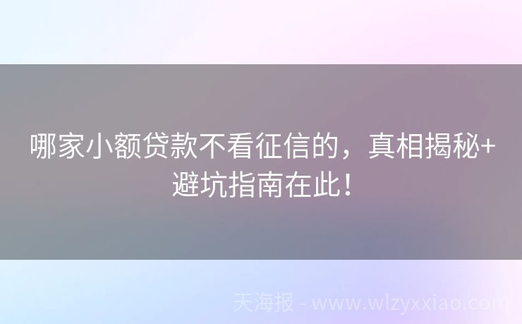 哪家小额贷款不看征信的，真相揭秘+避坑指南在此！