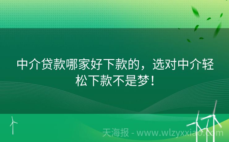 中介贷款哪家好下款的，选对中介轻松下款不是梦！