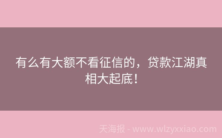 有么有大额不看征信的，贷款江湖真相大起底！