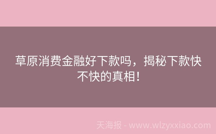 草原消费金融好下款吗，揭秘下款快不快的真相！
