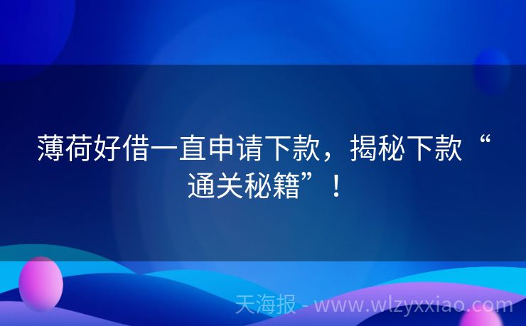 薄荷好借一直申请下款，揭秘下款“通关秘籍”！