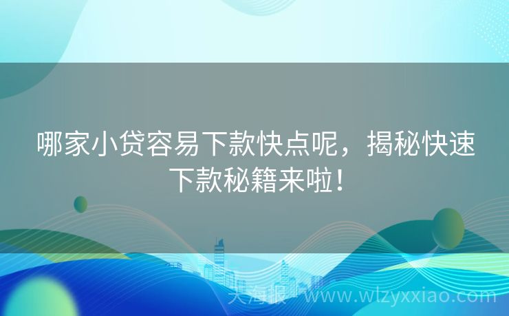 哪家小贷容易下款快点呢，揭秘快速下款秘籍来啦！