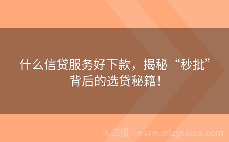 什么信贷服务好下款，揭秘“秒批”背后的选贷秘籍！