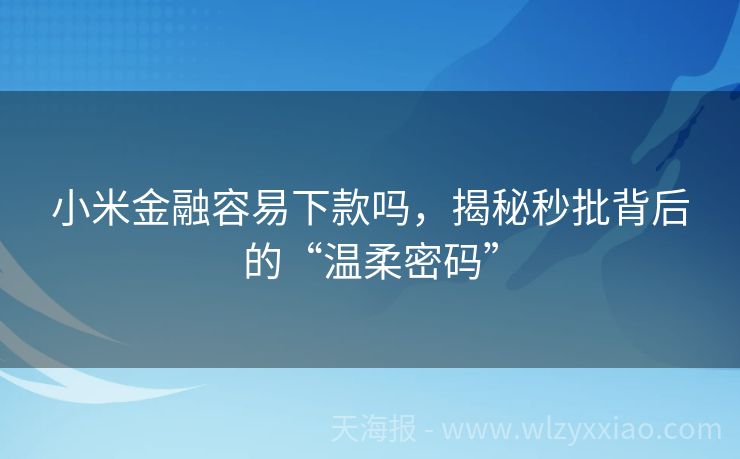 小米金融容易下款吗，揭秘秒批背后的“温柔密码”