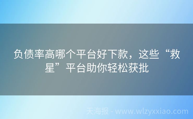 负债率高哪个平台好下款，这些“救星”平台助你轻松获批