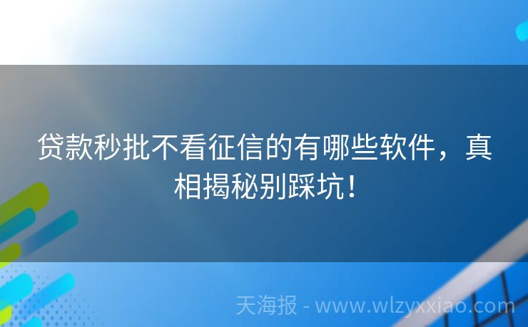 贷款秒批不看征信的有哪些软件，真相揭秘别踩坑！