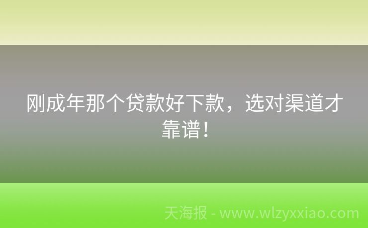 刚成年那个贷款好下款，选对渠道才靠谱！