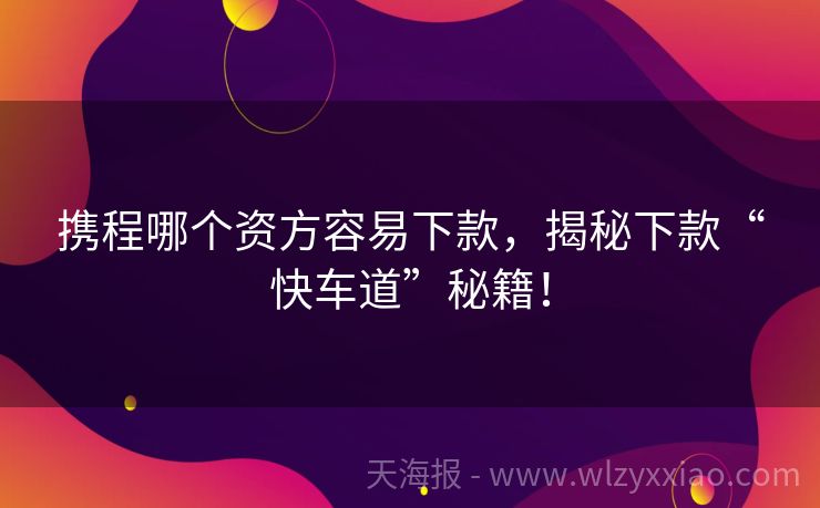 携程哪个资方容易下款，揭秘下款“快车道”秘籍！