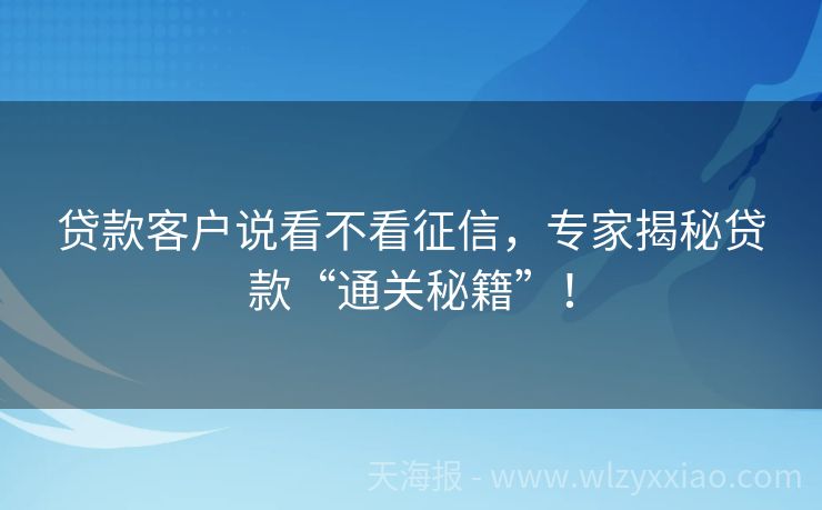 贷款客户说看不看征信，专家揭秘贷款“通关秘籍”！
