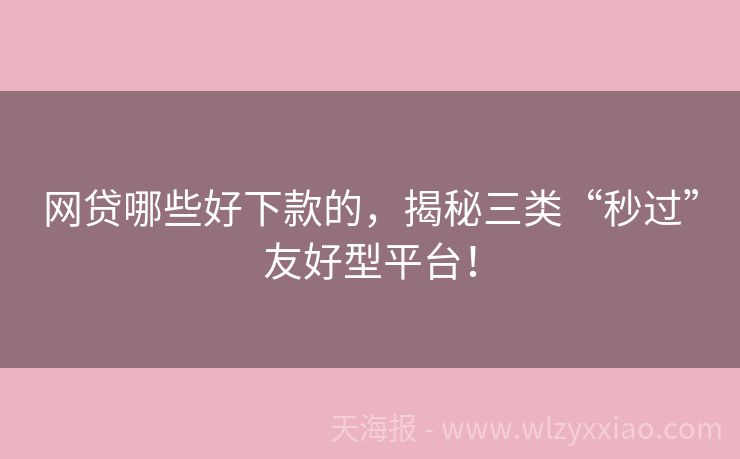 网贷哪些好下款的，揭秘三类“秒过”友好型平台！