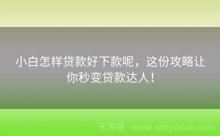 小白怎样贷款好下款呢，这份攻略让你秒变贷款达人！