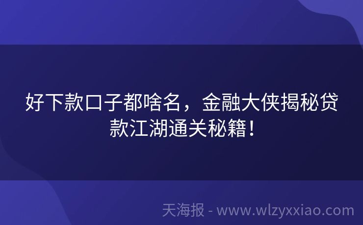 好下款口子都啥名，金融大侠揭秘贷款江湖通关秘籍！