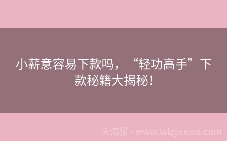 小薪意容易下款吗，“轻功高手”下款秘籍大揭秘！