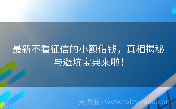 最新不看征信的小额借钱，真相揭秘与避坑宝典来啦！