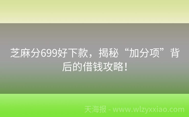 芝麻分699好下款，揭秘“加分项”背后的借钱攻略！