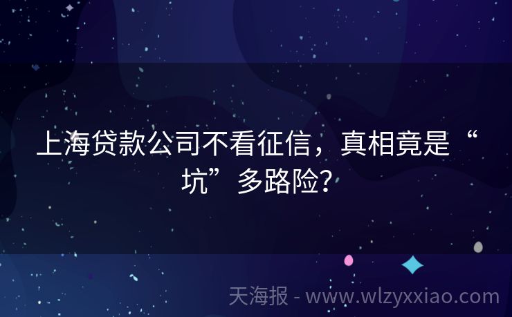 上海贷款公司不看征信，真相竟是“坑”多路险？