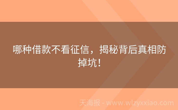 哪种借款不看征信，揭秘背后真相防掉坑！