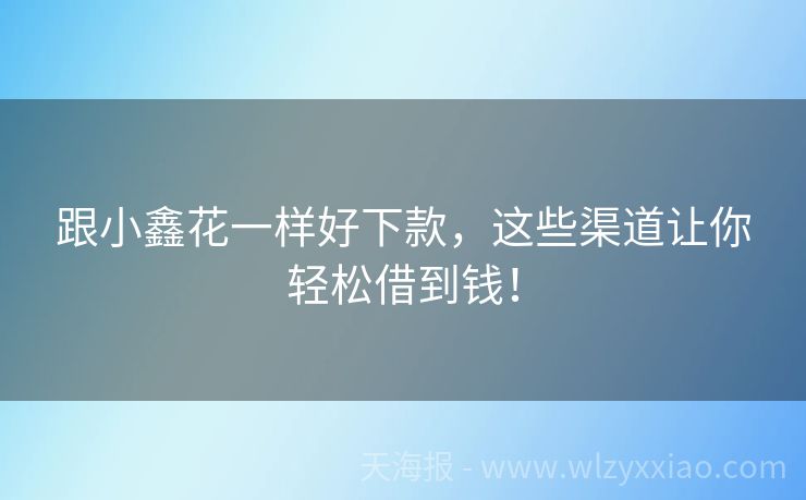 跟小鑫花一样好下款，这些渠道让你轻松借到钱！