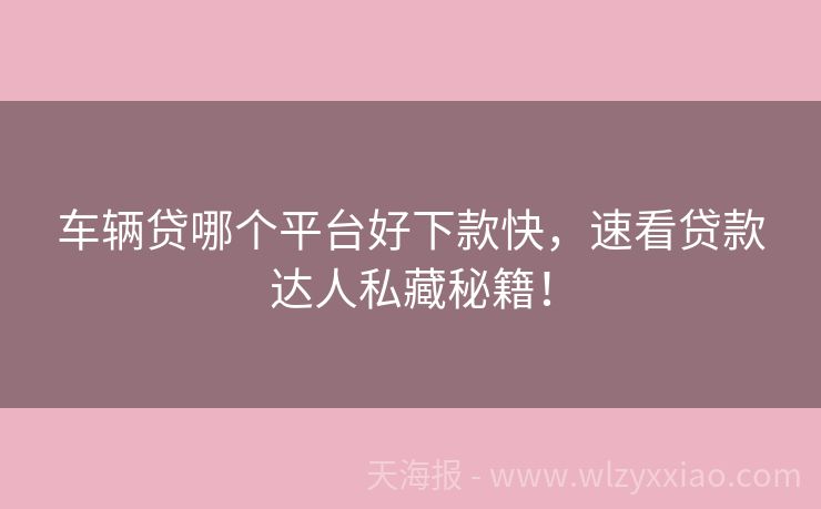 车辆贷哪个平台好下款快，速看贷款达人私藏秘籍！