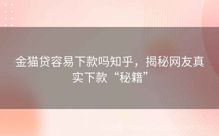 金猫贷容易下款吗知乎，揭秘网友真实下款“秘籍”