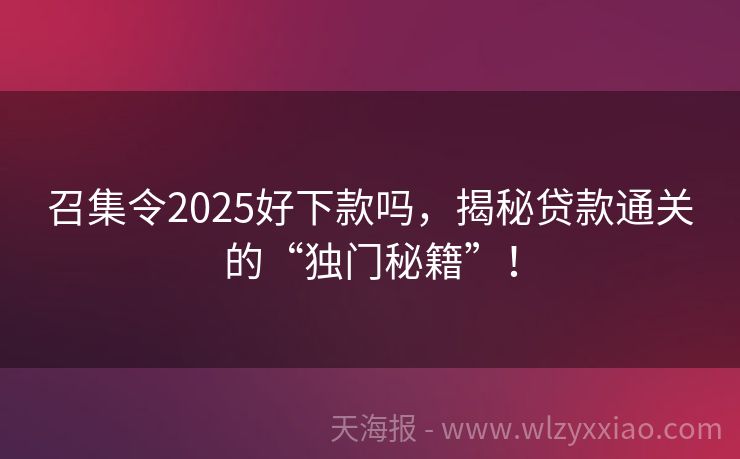 召集令2025好下款吗，揭秘贷款通关的“独门秘籍”！