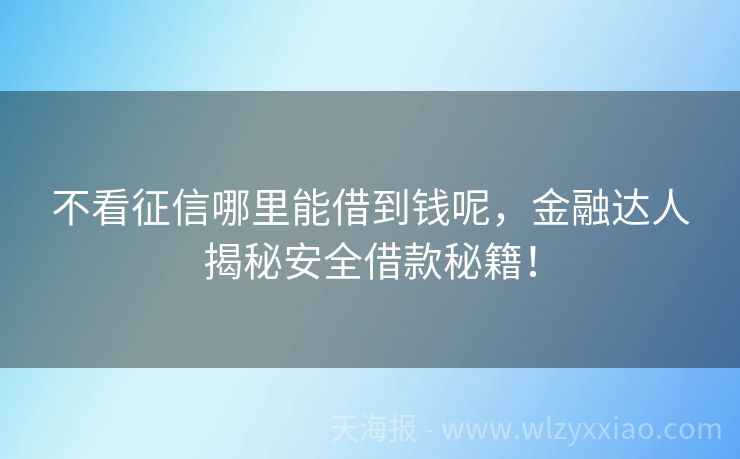 不看征信哪里能借到钱呢，金融达人揭秘安全借款秘籍！
