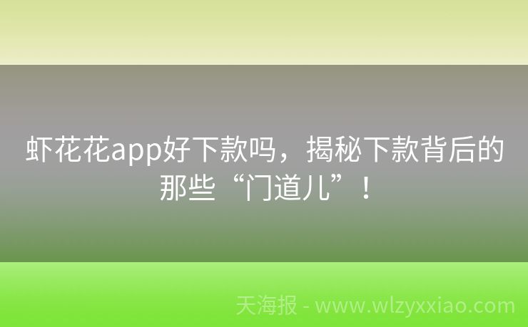 虾花花app好下款吗，揭秘下款背后的那些“门道儿”！