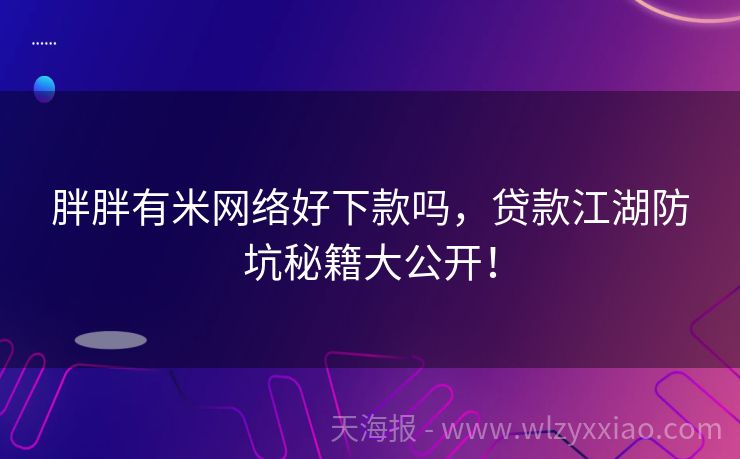 胖胖有米网络好下款吗，贷款江湖防坑秘籍大公开！