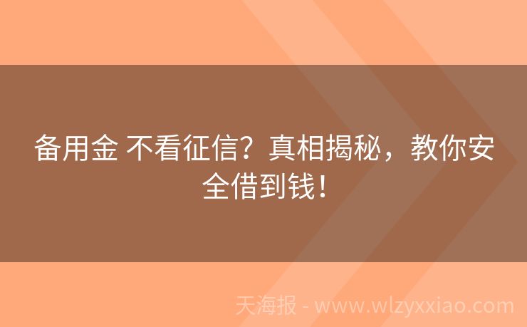备用金 不看征信？真相揭秘，教你安全借到钱！