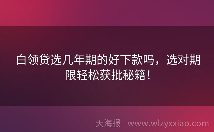 白领贷选几年期的好下款吗，选对期限轻松获批秘籍！