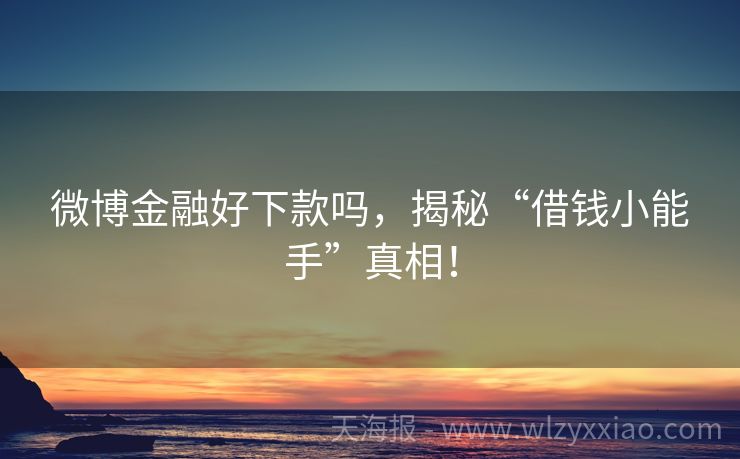 微博金融好下款吗，揭秘“借钱小能手”真相！