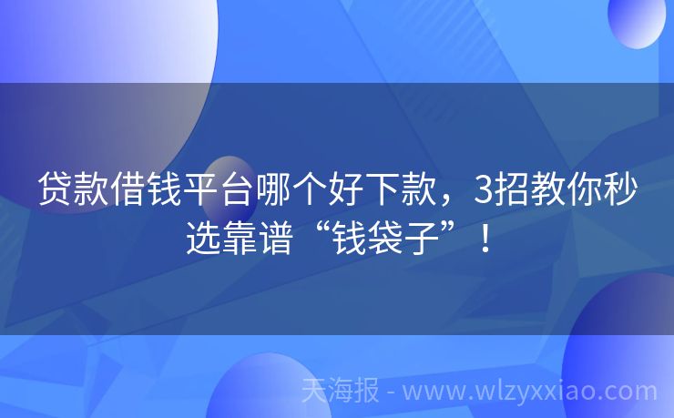 贷款借钱平台哪个好下款，3招教你秒选靠谱“钱袋子”！