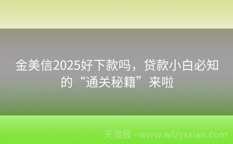 金美信2025好下款吗，贷款小白必知的“通关秘籍”来啦