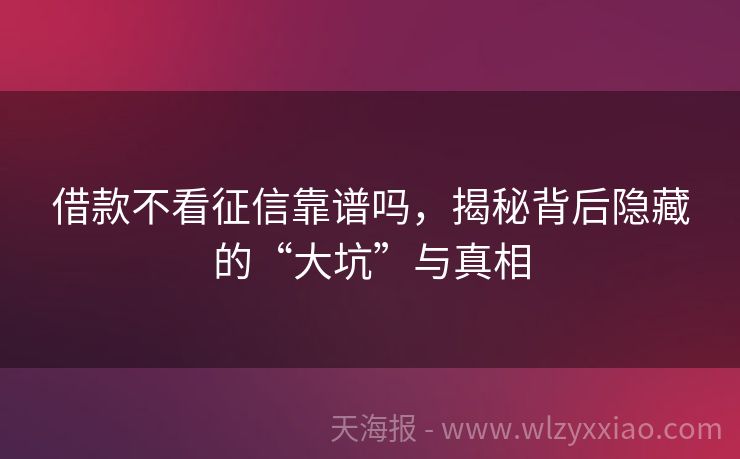 借款不看征信靠谱吗，揭秘背后隐藏的“大坑”与真相
