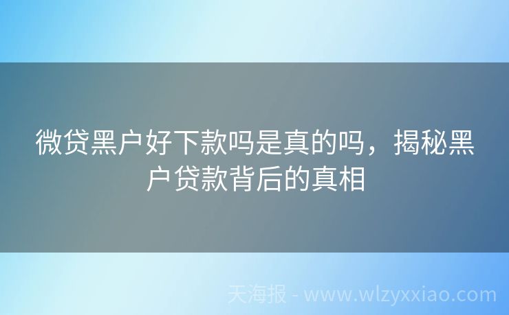 微贷黑户好下款吗是真的吗，揭秘黑户贷款背后的真相