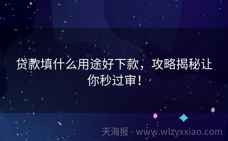 贷款填什么用途好下款，攻略揭秘让你秒过审！