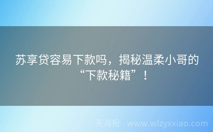 苏享贷容易下款吗，揭秘温柔小哥的“下款秘籍”！