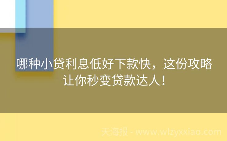 哪种小贷利息低好下款快，这份攻略让你秒变贷款达人！