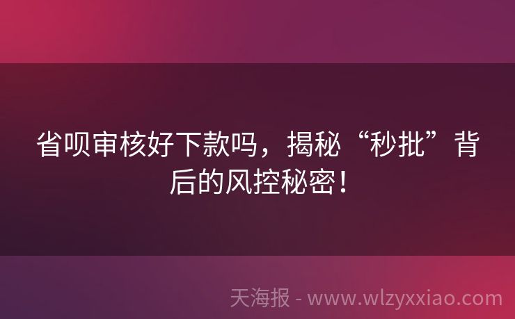 省呗审核好下款吗，揭秘“秒批”背后的风控秘密！